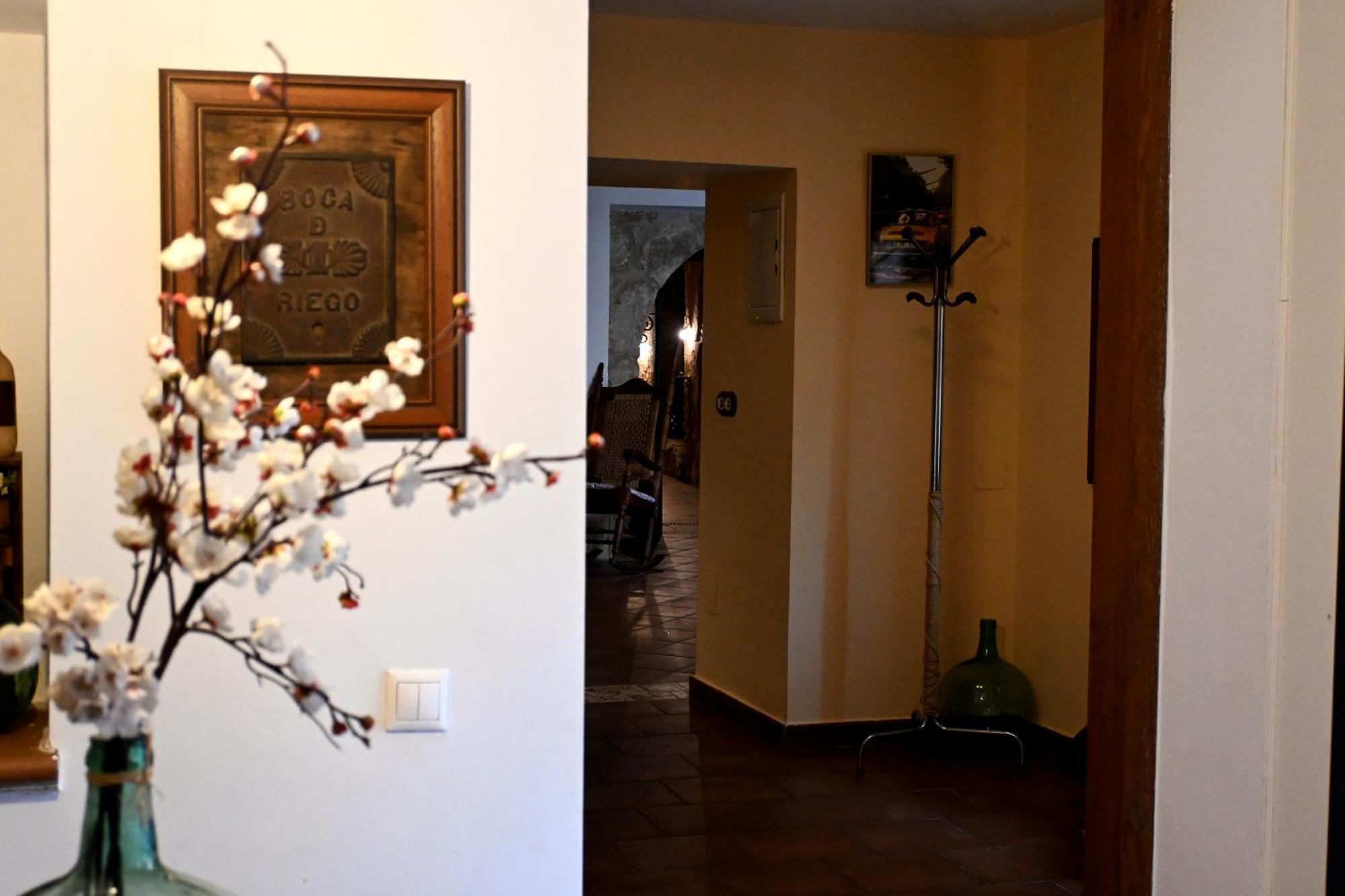 Casa Rural De Lucia Horche エクステリア 写真